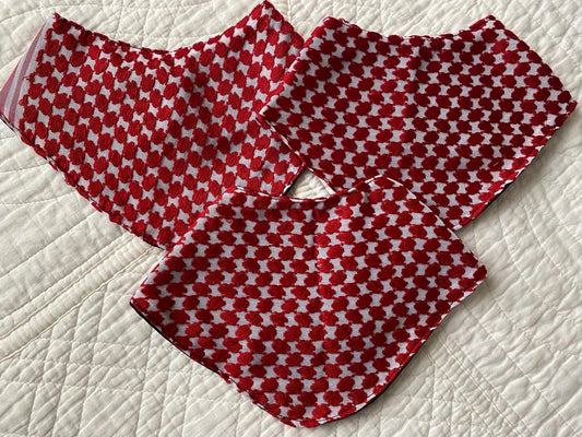 Keffiyeh Baby Bib